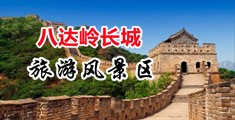 caob摸b免费在线播放网站中国北京-八达岭长城旅游风景区